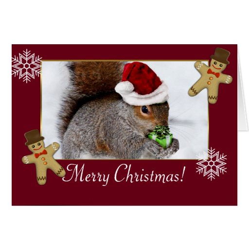 Christmas Squirrel Greeting Cards Zazzle 4125