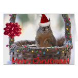 Christmas Squirrel in Basket with Snow Greeting Card
