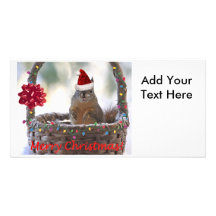Christmas Squirrel in Basket with Snow Photo Card