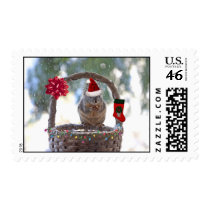 Christmas Squirrel in Snowy Basket Postage Stamp