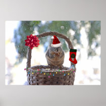 Christmas Squirrel in Snowy Basket Print