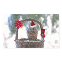 Christmas Squirrel in Snowy Basket Rectangle Sticker