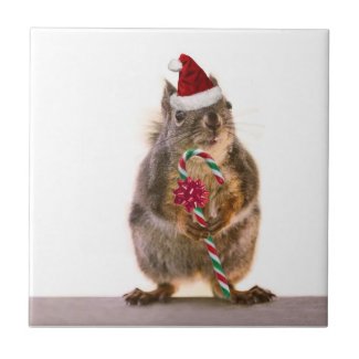 Christmas Squirrel with Candy Cane Ceramic Tile