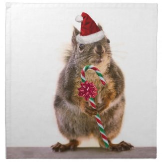 Christmas Squirrel with Candy Cane Napkins