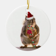 Christmas Squirrel with Candy Cane Ornament