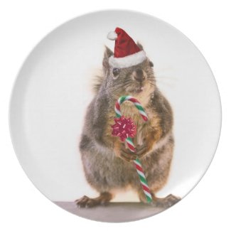 Christmas Squirrel with Candy Cane Party Plate