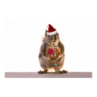 Christmas Squirrel with Candy Cane Poster