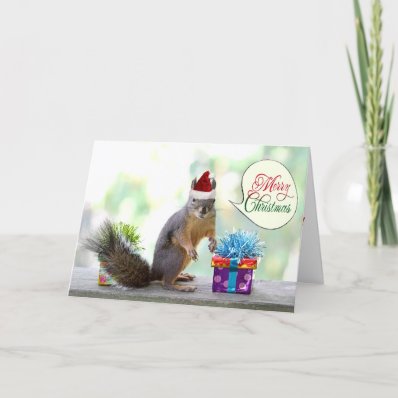 Christmas Squirrel with Christmas Presents Greeting Cards