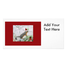 Christmas Squirrel with Christmas Stocking Photo Card