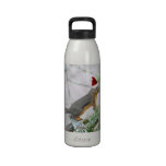 Christmas Squirrel with Christmas Stocking Water Bottles