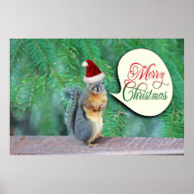 Christmas Squirrel with Evergreen Tree Background Print