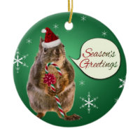 Christmas Squirrel with Snowflakes Christmas Ornaments
