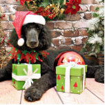 Christmas - Standard Poodle - Bronco Acrylic Cut Outs