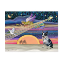 Christmas Star - Australian Cattle Dog Post Card