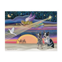 Christmas Star - Australian Cattle Dogs (two) postcards