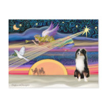 Christmas Star - Australian Shepherd (Tri) Post Cards