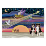 Christmas Star - Australian Shepherds (two tri) Greeting Cards
