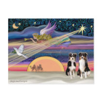 Christmas Star - Australian Shepherds (two tri) Post Cards
