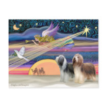 Christmas Star - Bearded Collies (two) Postcard