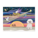 Christmas Star - Bichon Frise 2 postcards