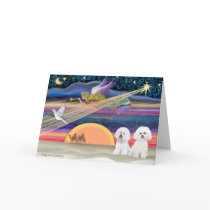 Christmas Star - Bichon Frise (two) Cards