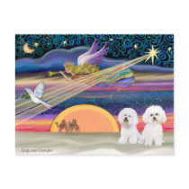 Christmas Star - Bichon Frise (two) postcards