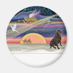 Christmas Star - Labrador Retriever (Chocolate) Magnets