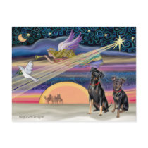 Christmas Star - Miniature Pinschers (two) postcards