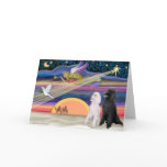 Christmas Star - Poodles (two Standard) - cards