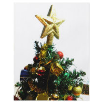 Christmas Star Top I Custom Flyer