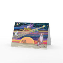 Christmas Star - Whippet 7 cards