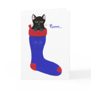 Christmas Stocking Cat, greeting cards card