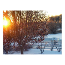 christmas sunset 2 posters