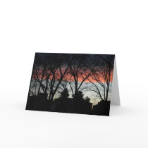 Christmas Sunset cards by simplynaturecards Christmas Sunset cards