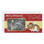 Christmas Syrian Hamster Photo Card