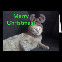 Christmas Tabby Reindeer Blank Card cards