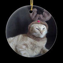 Christmas Tabby Reindeer Ornament ornaments