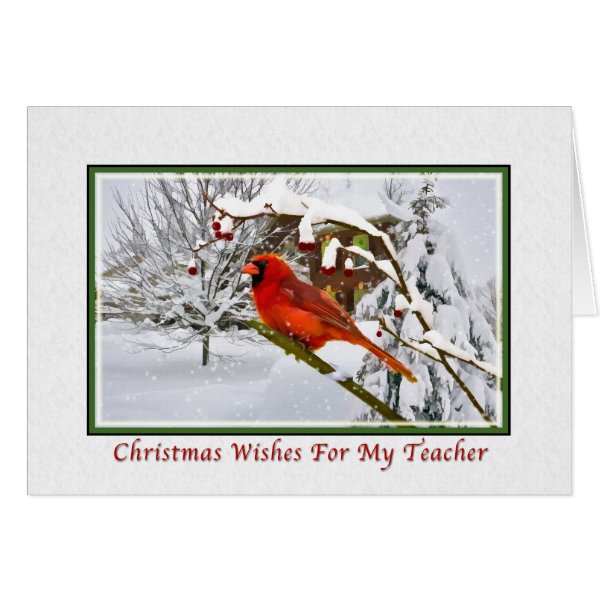 Christmas, Teacher, Cardinal Bird, Snow, Card