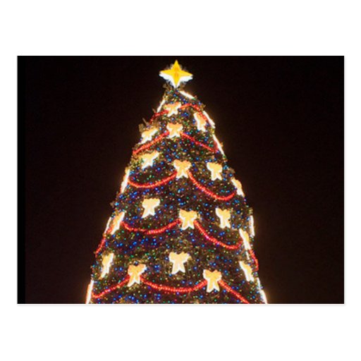 Christmas Tree at night Post Cards