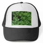 christmas tree branches hats