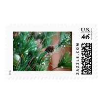 Christmas Tree Branches Postage Stamps