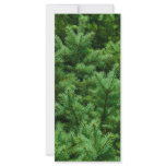 christmas tree branches rack card template