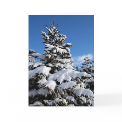 Christmas Tree cards