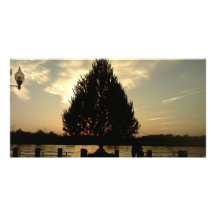 Christmas Tree Custom Photo Card