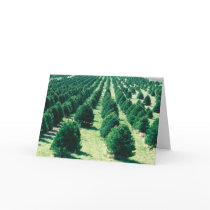 Christmas Tree Farm Greeting Card