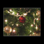 Christmas Tree I Postcard
