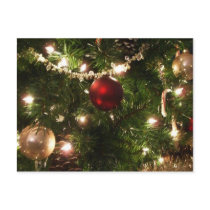 Christmas Tree I Postcard