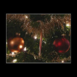 Christmas Tree II Postcard