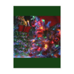 Christmas Tree in full color! postcards