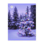 Christmas Tree in the Forest Postcards